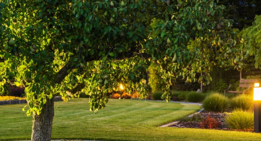 Outdoor lighting in Harlow: What you should consider. 